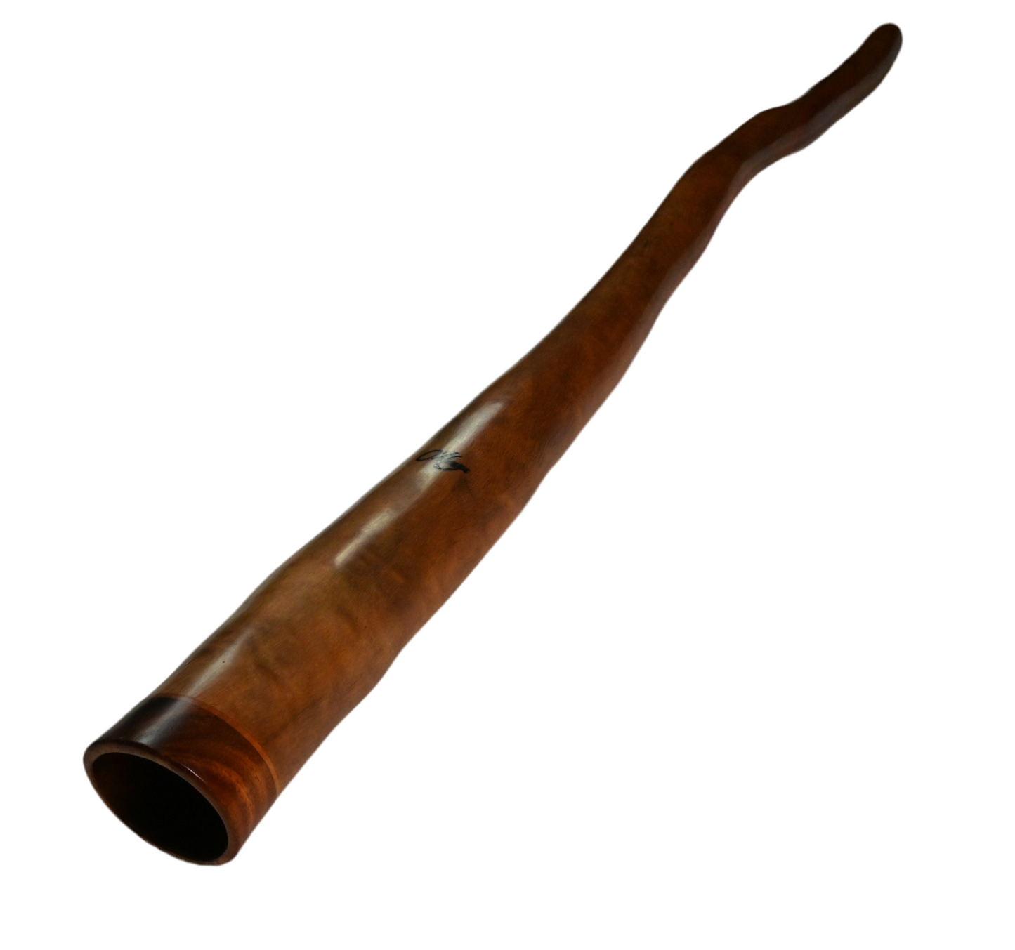 O'Meara Didgeridoo D