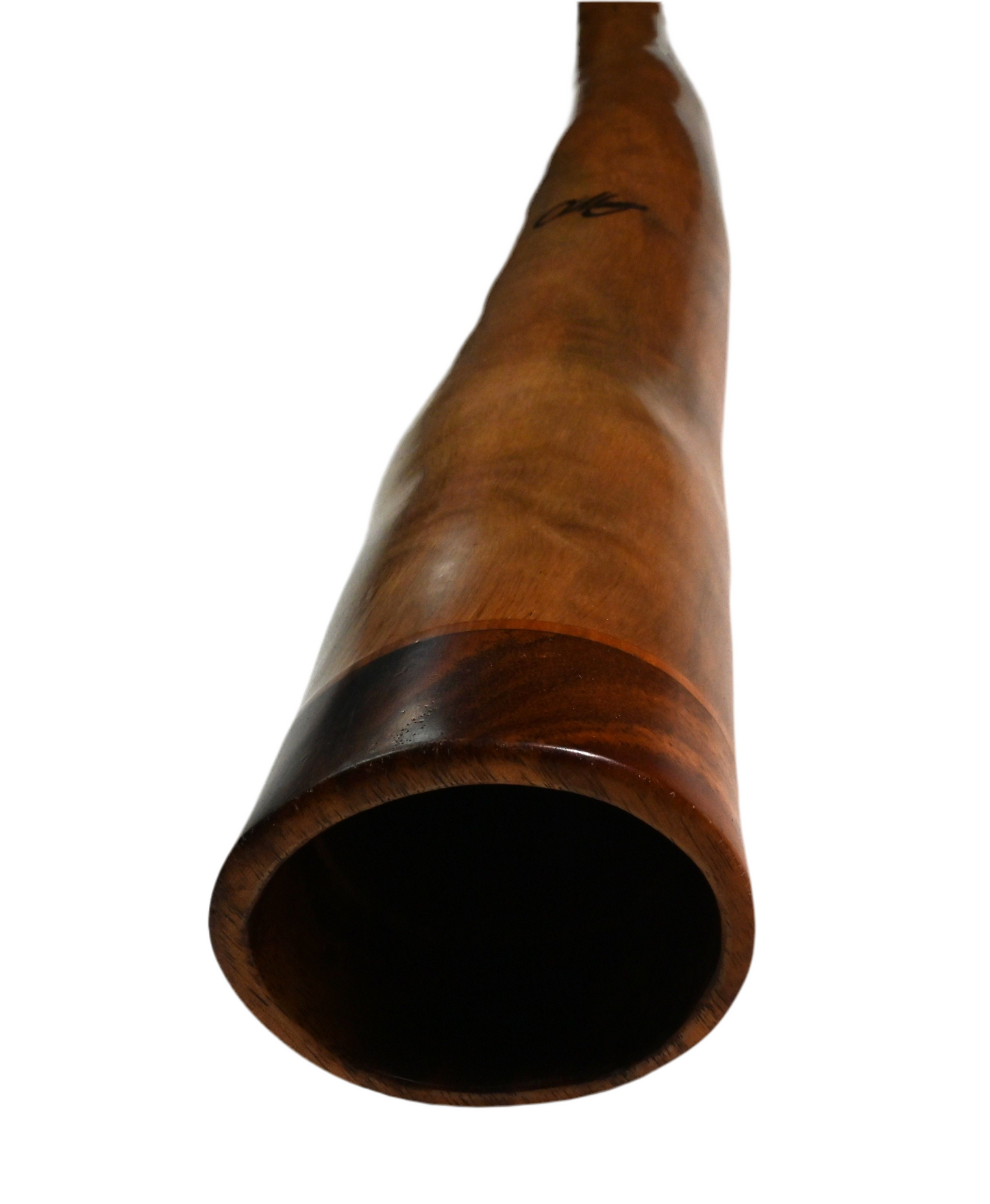 O'Meara Didgeridoo D